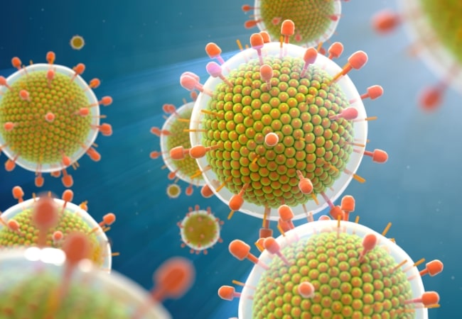 Newcastle Disease Virus